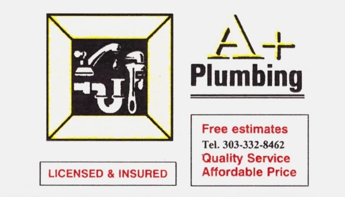 A+ Plumbing Business Card