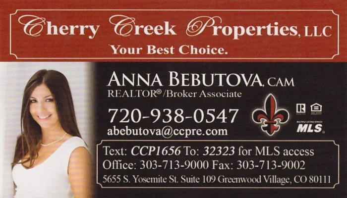 Anna Bebutova Business Card
