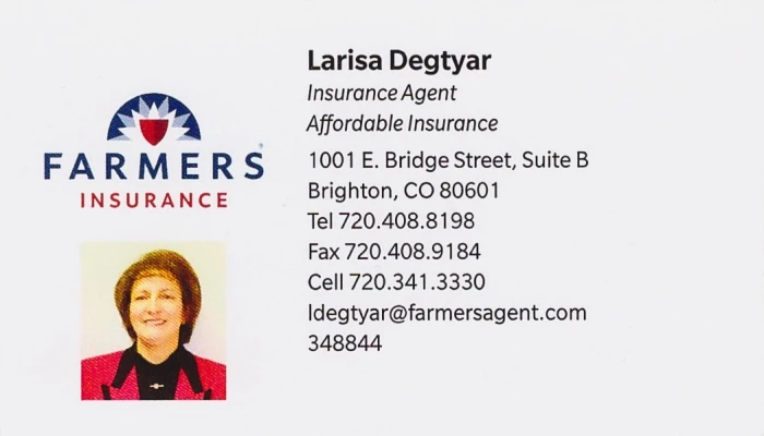 Larisa Degtyar Business Card